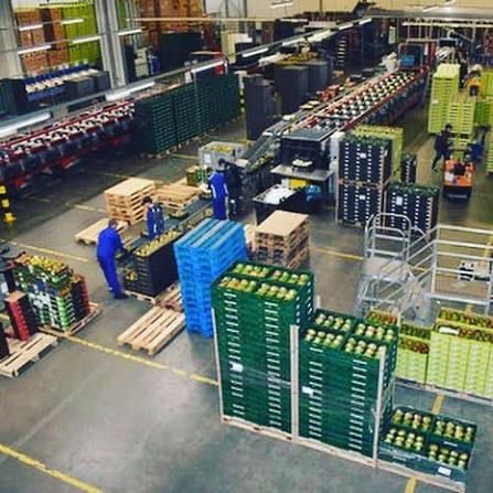 منتجات غذائية