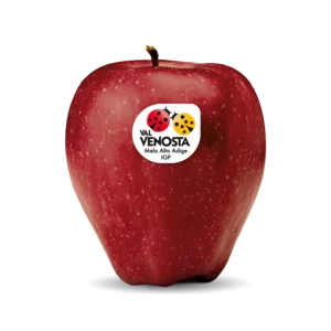 Red Delicious